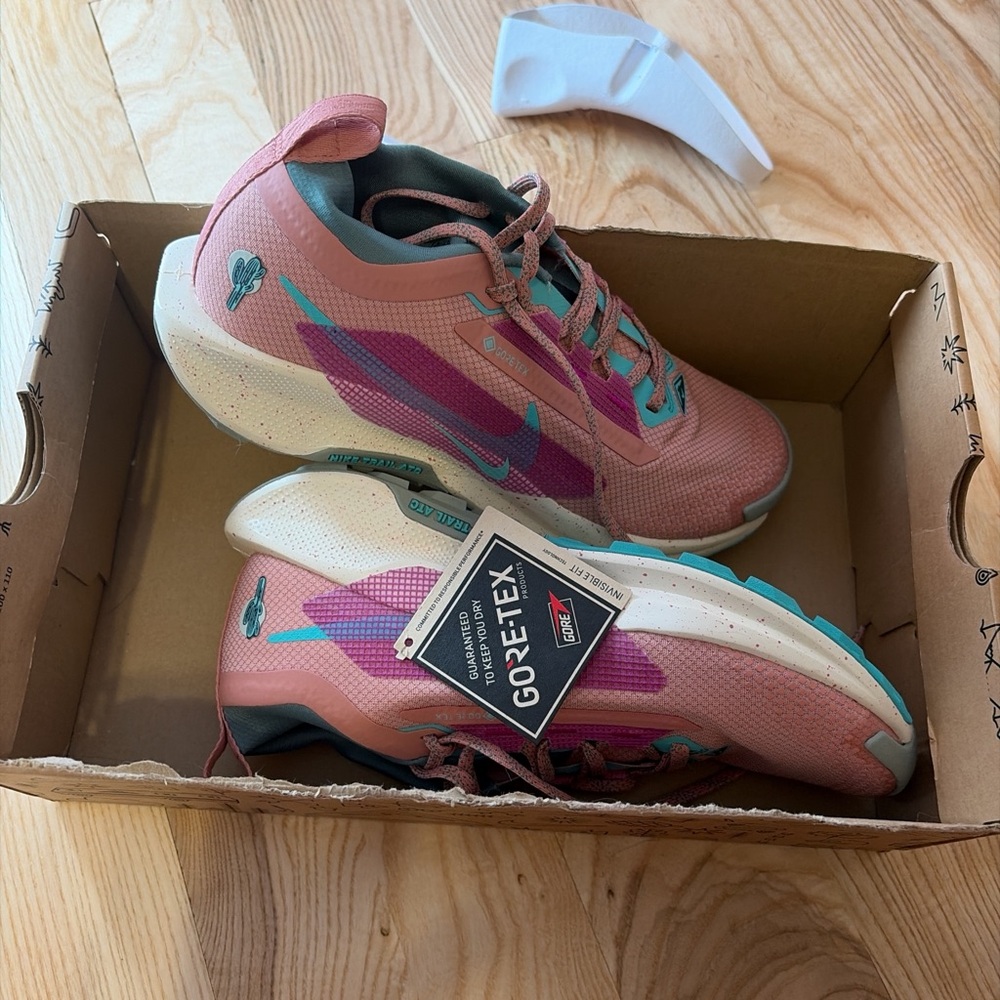 Nike Pegasus 5 GTX trail running shoe